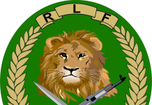 RDF investigates 22 people including civilians and officers