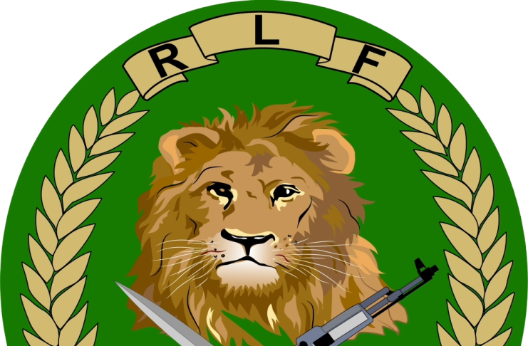 RDF investigates 22 people including civilians and officers