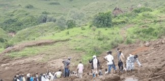 Sudan landslide kills 1,000 people in Marrah Mountains