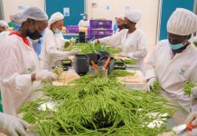 Rwanda Exports Reduced 12.5% | Economy in Hard Time Rwanda exports reduced 12.5% report 2025