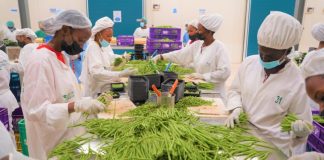 Rwanda exports reduced 12.5% report 2025