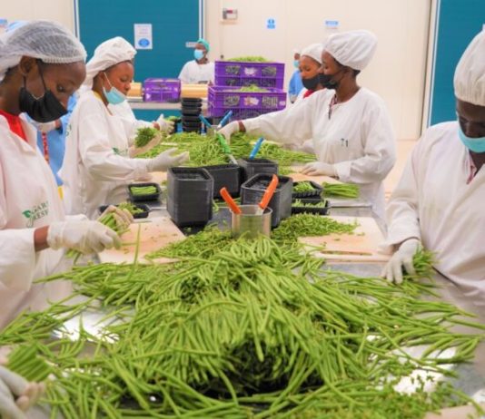 Rwanda exports reduced 12.5% report 2025