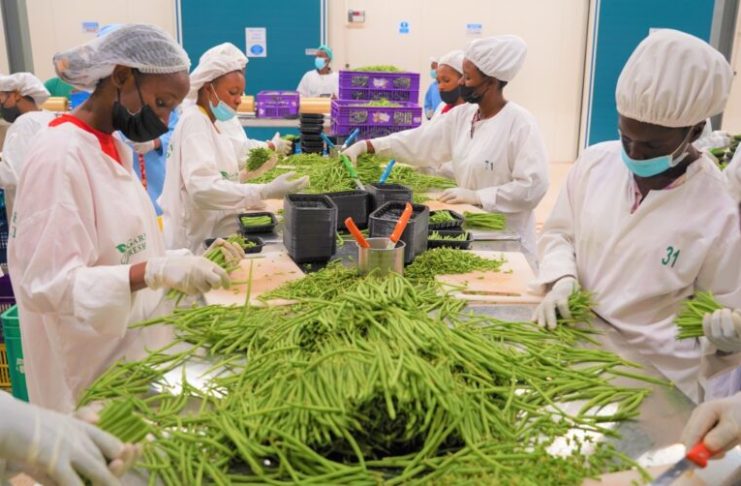 Rwanda Exports Reduced 12.5% | Economy in Hard Time Rwanda exports reduced 12.5% report 2025